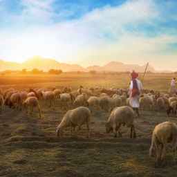 Gospel Hope for Faithful Shepherding